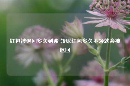 红包被退回多久到账 转账红包多久不领就会被退回